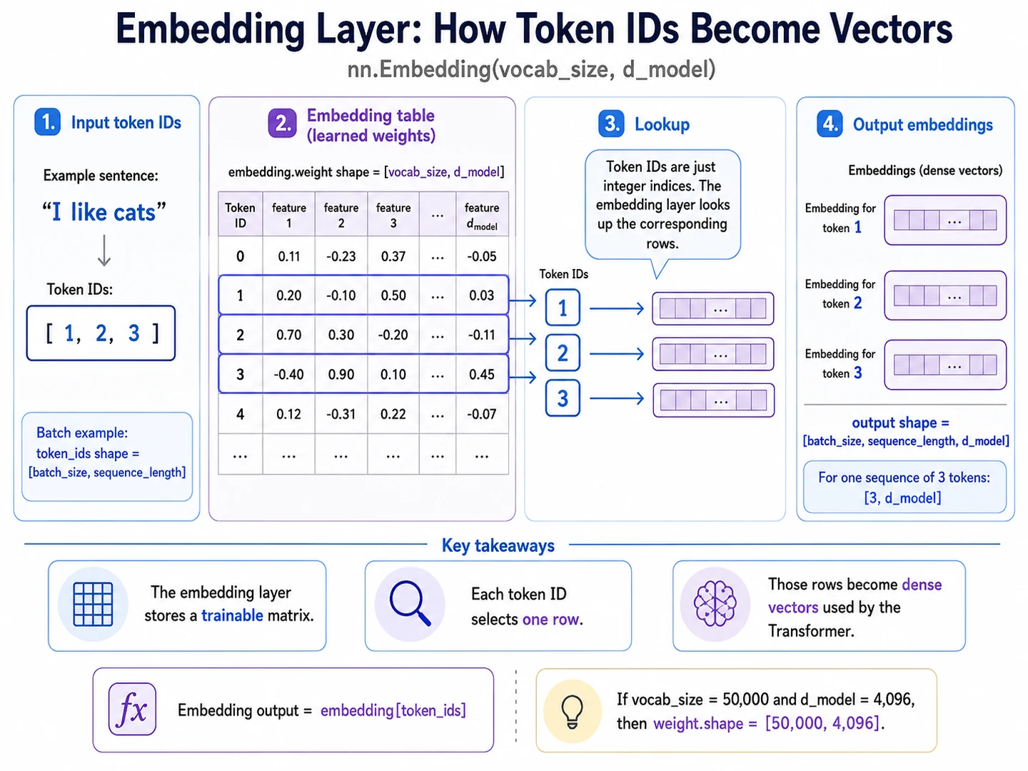 Diagram showing token IDs selecting rows from a trainable embedding matrix and producing one dense vector per token
